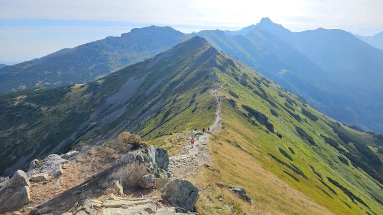 The view of a hiking trail in the mountains as an idea of Day Hike Packing List needed to attempt this.